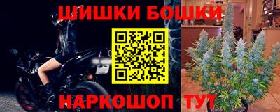 тгк Кингисепп
