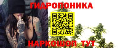 тгк Кингисепп