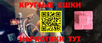 тгк Кингисепп