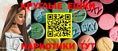 тгк Кингисепп