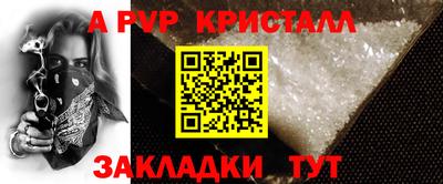 тгк Кингисепп