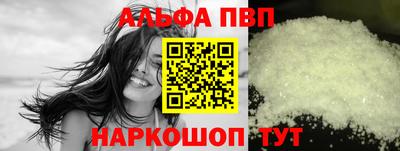тгк Кингисепп