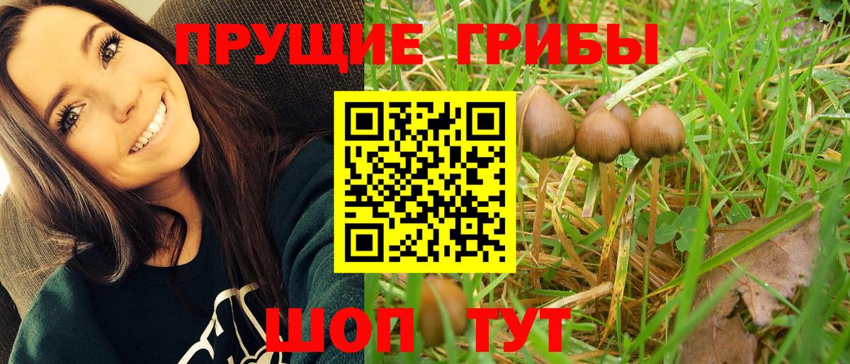 Гашиш  ГАШИШ  КОКАИН  Орехово-Зуево  LSD-25  Канабис  Вход с VPN  МЕФ кристаллы  Вейп ТГК 