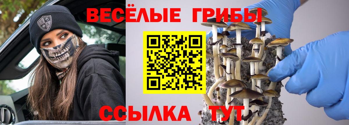 Галлюциногенные грибы Cubensis  Вход с VPN  Орехово-Зуево  Псилоцибиновые грибы GOLDEN TEACHER 