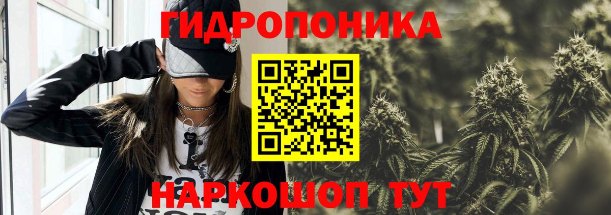 Шишки марихуана планчик  Конопля конопля  Орехово-Зуево  Вход с VPN  Конопля семена 